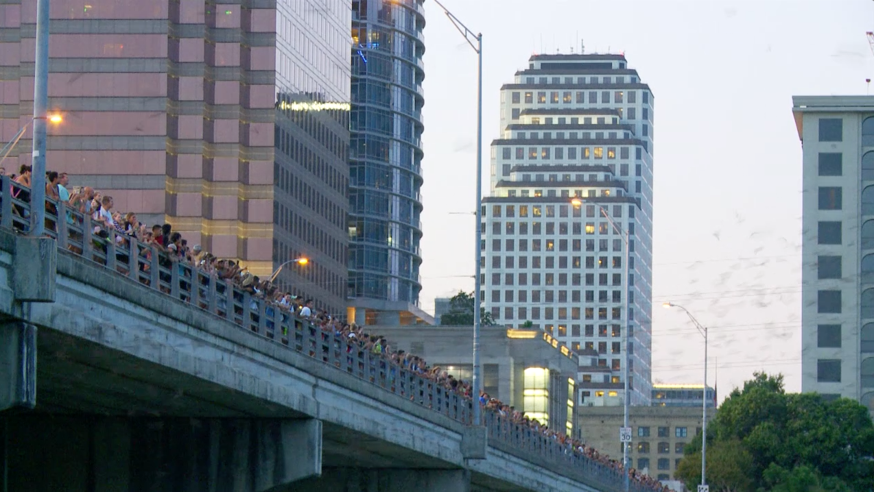 Austin, TX video - Bat Bridge